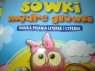 Sówki Mądre Główki, Książka edukacyjna, Książki edukacyjne, nauka pisania literek i cyferek