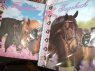 Top model pamiętnik, pamiętniki z koniem, końmi