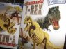 Skamieniałości t-rex t rex, skamieniałość, zestaw naukowy, edukacyjny, zestawy naukowe, edukacyjne, dinozaur, dinozaury, gad, gady, szkielet, szkielety