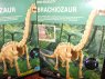 Zestaw wykopaliska, pterozaur, velociraptor, brachiozaur, stegozaur, zestawy archeologiczne, archeologia, zestaw naukowy, naukowe