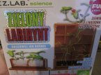 Science, Zielony Labirynt, Obserwuj jak rośnie, Nauka o wzroście oślin, Fototropizm, Zabawka edukacyjna, Zabawki edukacyjne