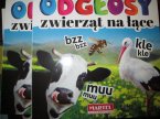 Książeczka edukacyjna, odgłosy zwierząt na łące, liczę ze zwierzątkami, zwierzaczkowy alfabet, książeczki edukacyjne dla dzieci