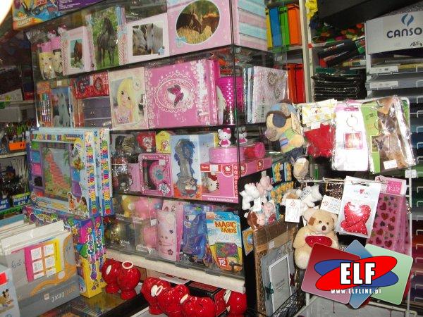 Ogólny widok sklepu od wewnątrz na dzień 10-02-2012