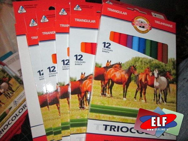Kredki 12 kolorów, kredka, triocolor