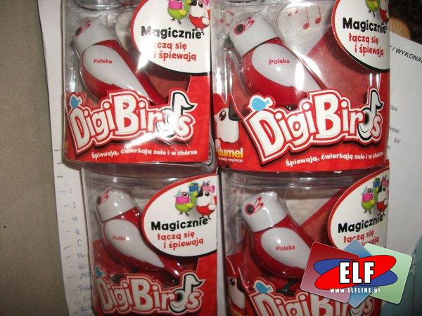Ptaszki Digibirds dumel, ptaszek, digi birds, uczą się i śpiewają