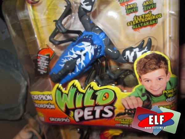 Skorpion i pająk COBI, skorpiony i pająki, wild pets, dzikie zwierzęta