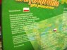 Gra grzybobranie, gry