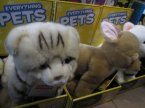 Everything Pets, Maskotki, Pluszaki, Zwierzątka, Pieski, Kotki i inne zwierzątka, Maskotka, Pluszak