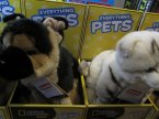 Everything Pets, Maskotki, Pluszaki, Zwierzątka, Pieski, Kotki i inne zwierzątka, Maskotka, Pluszak